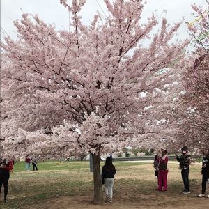 Meet your Posher, Nina